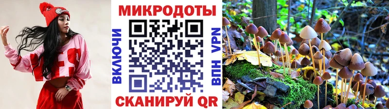 Галлюциногенные грибы мицелий  где можно купить   Красавино 
